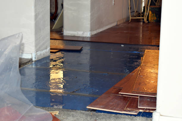 Professional Flood Cleanup technician working in Dania, FL